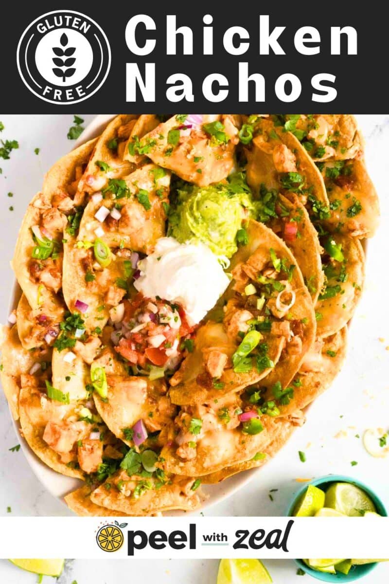 Chicken nachos on a plate.