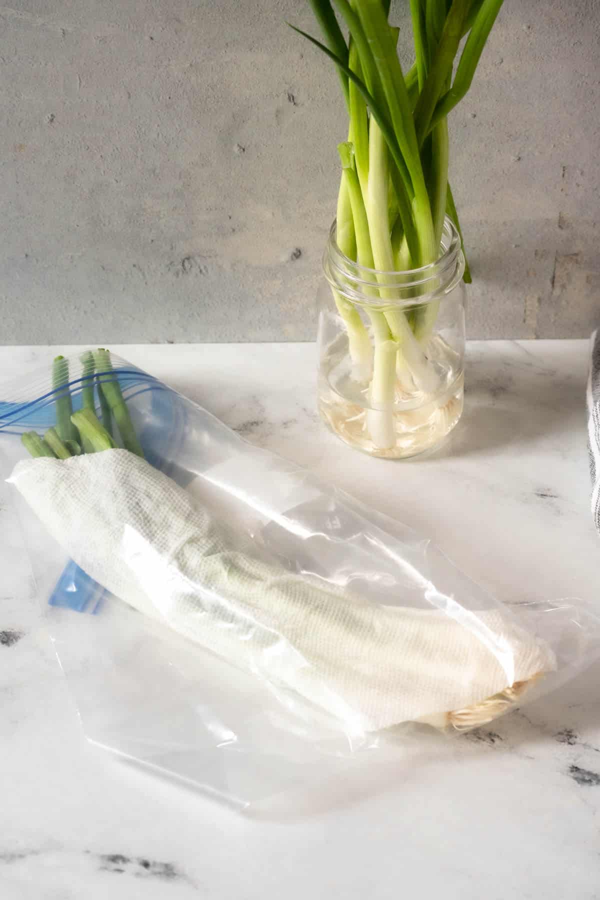 Two bunches of green onions one in a glass of water the other in a plastic bag.