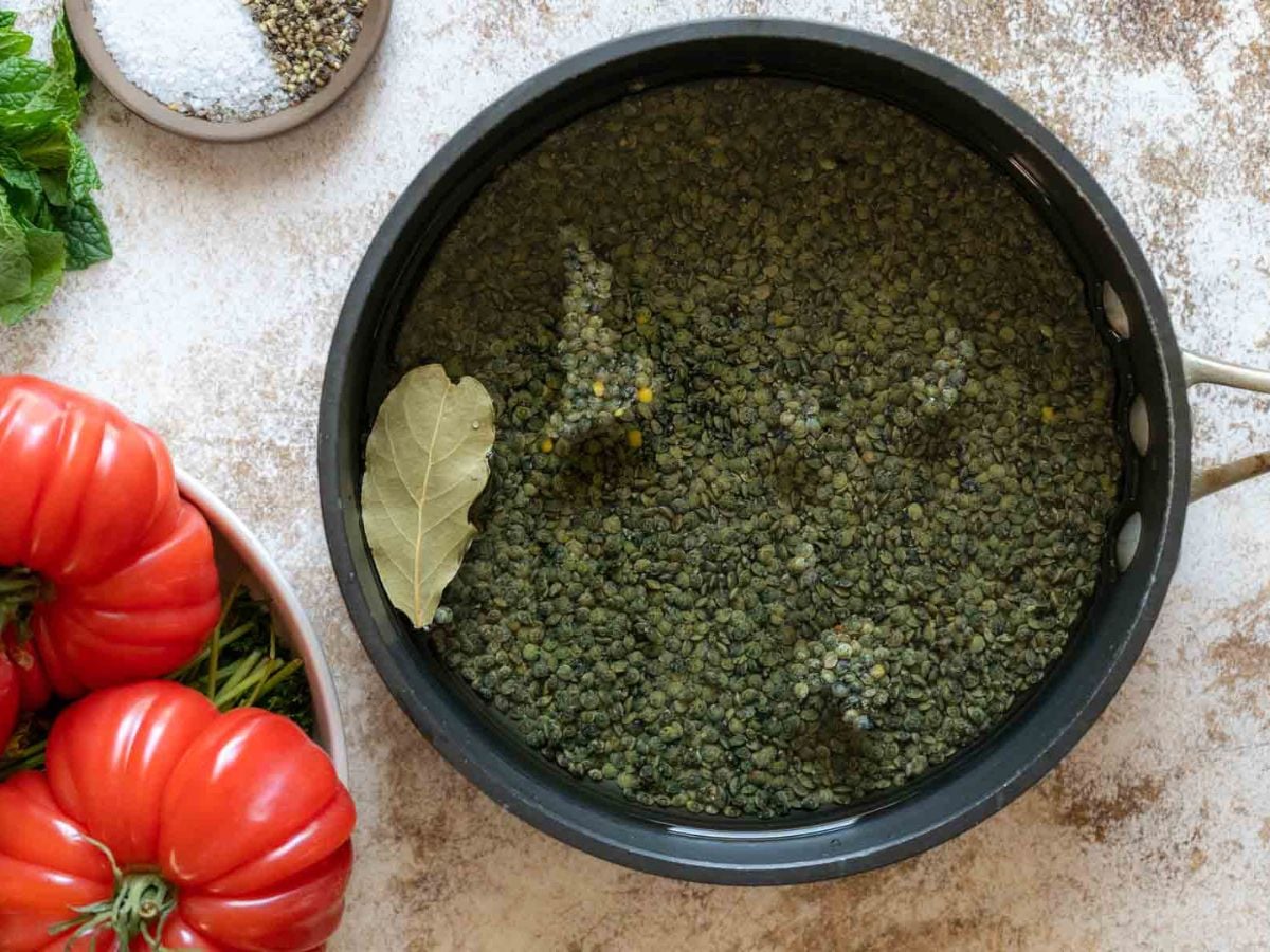 A pot filled with green lentils, water, and a bay leaf sits on a counter-perfect for making lentil tabbouleh. Next to it are fresh tomatoes and herbs in a bowl, and a small dish with salt and pepper.