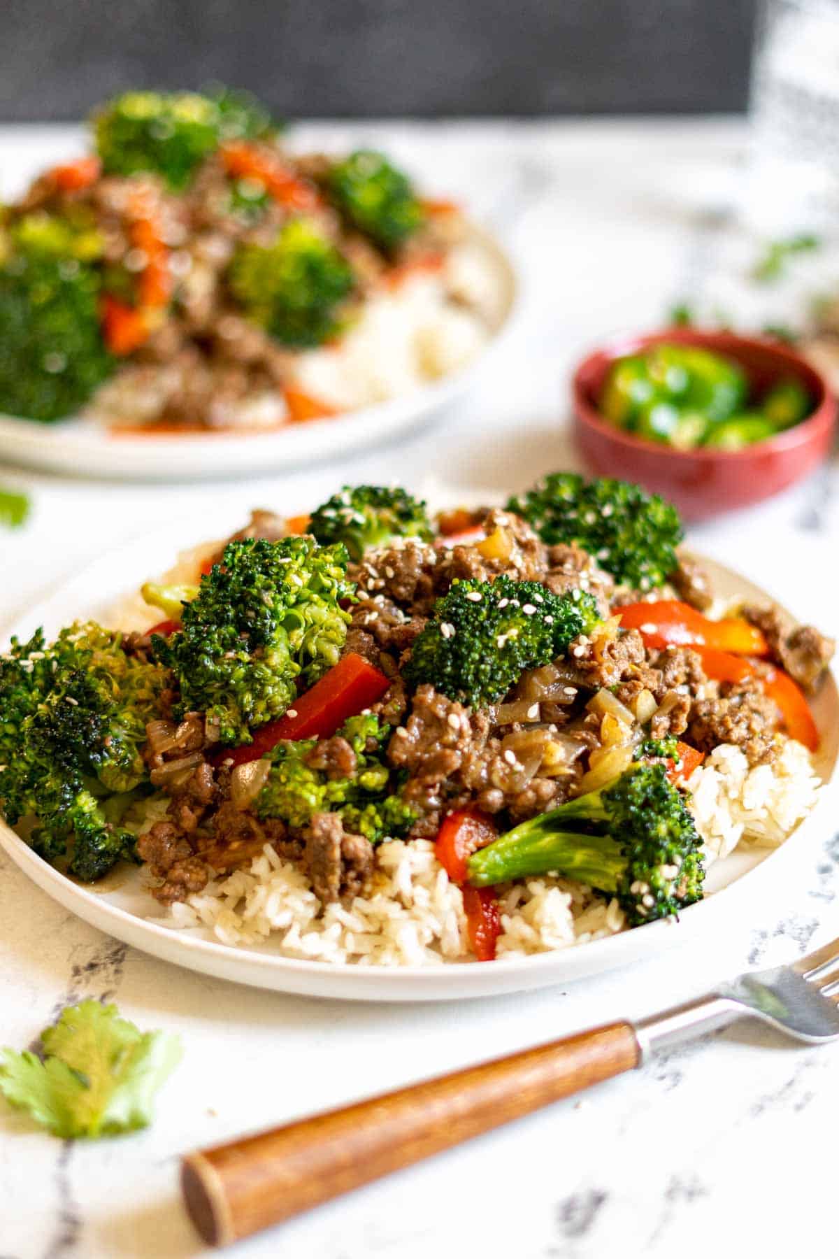 Beef and broccoli stir fry over rice.