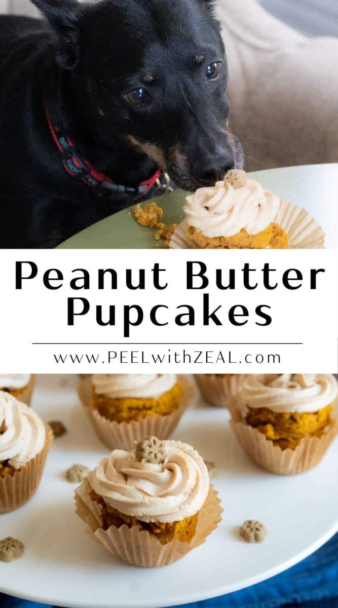 Dog eating a cupcake.