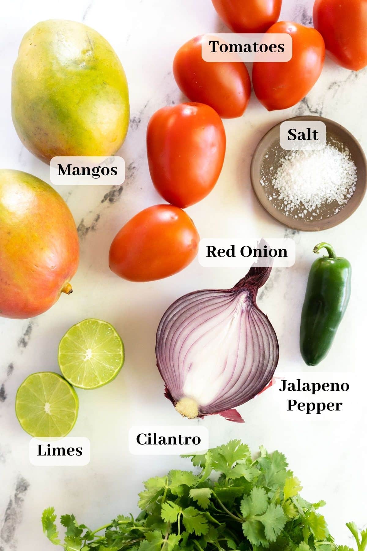 Recipe ingredients on counter.