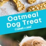 Homemade dog treats with rolled oats on parchment.