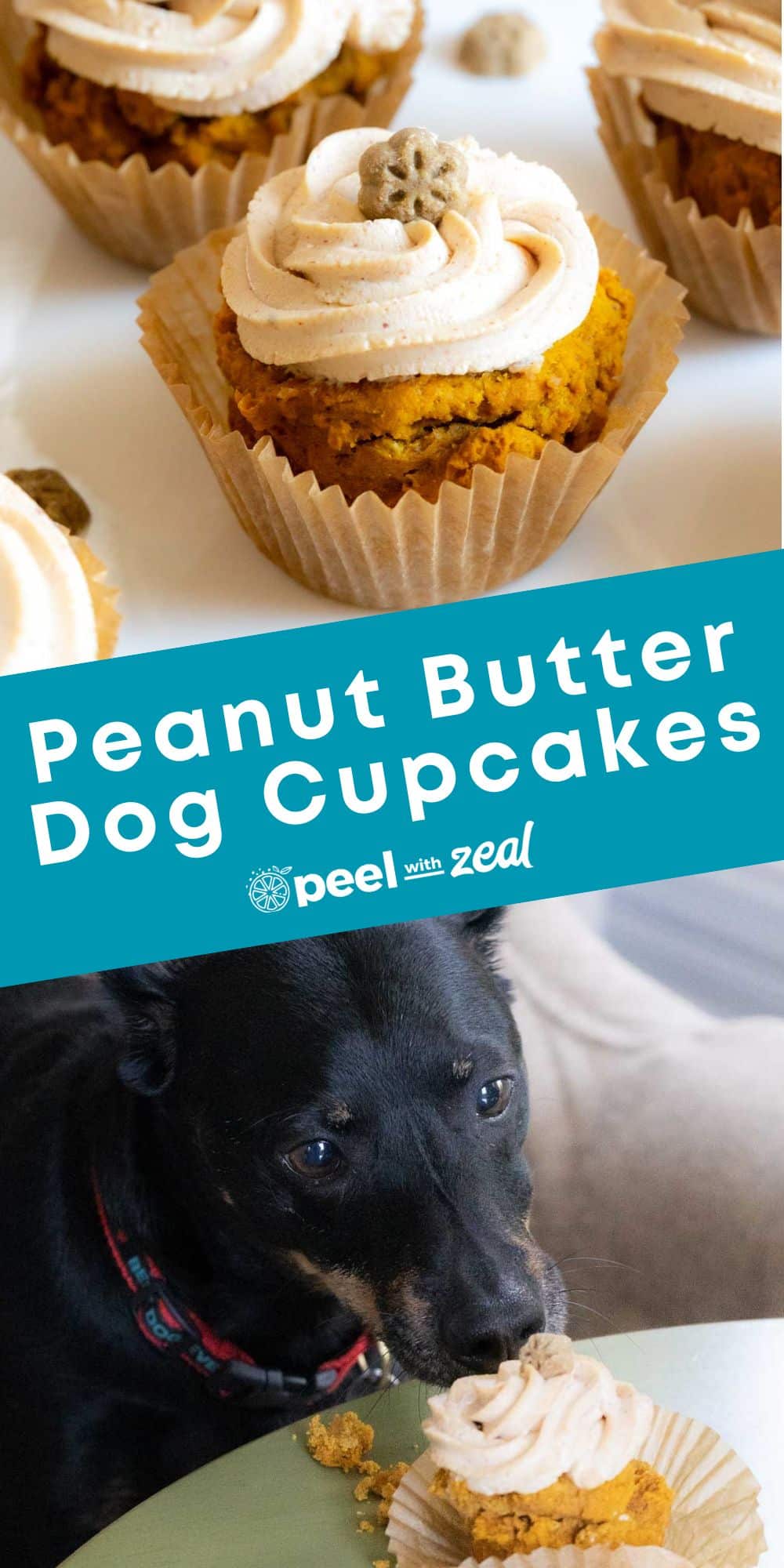 Pumpkin Pupcakes (Dog Cupcakes Recipe) Peel with Zeal