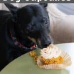 A dog eating a birthday cupcake.