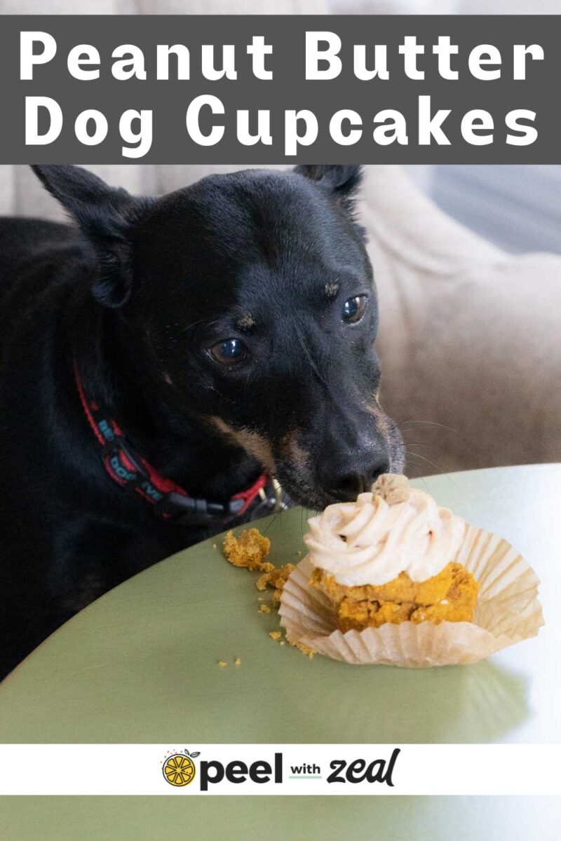 A dog eating a birthday cupcake.