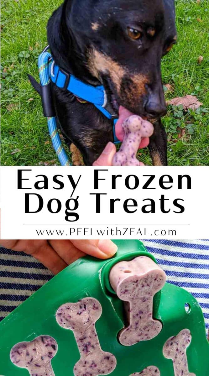 Frozen treats for dogs.