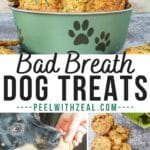 Homemade Breath Mint Dog Treats in a bowl with a cute dog eating the treats.