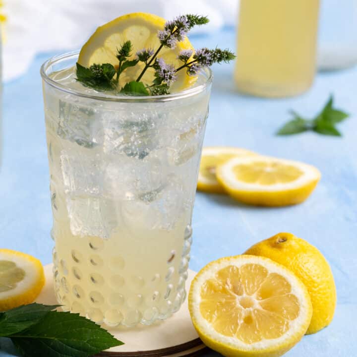 fresh-lemon-soda-recipe-peel-with-zeal