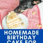 Dog eating a special homemade dog cake.