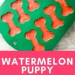 Frozen water melon treats for dogs in a silicone mold.