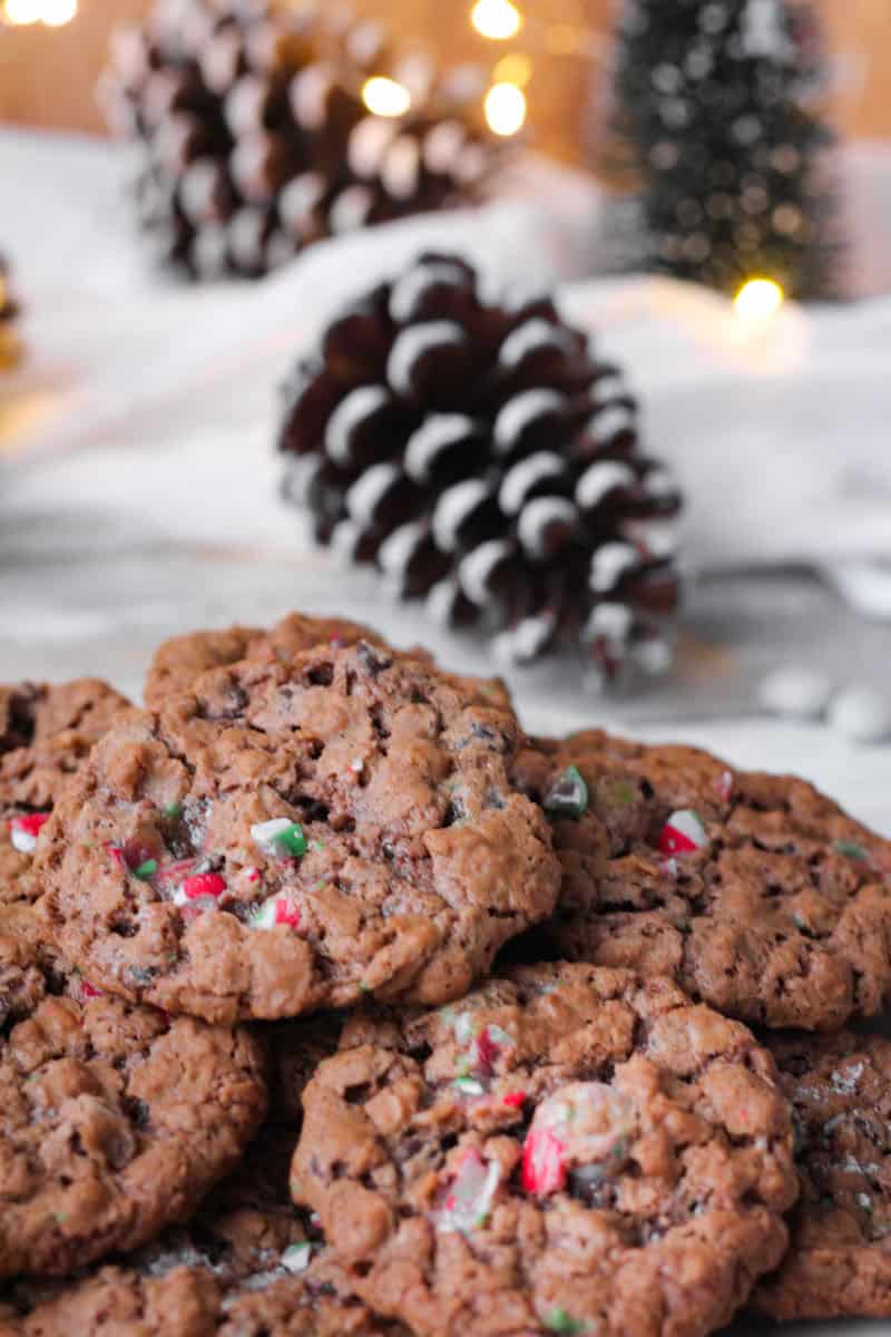 Vegan oatmeal chocolate cookies.