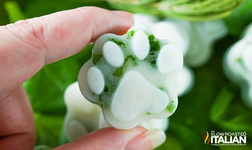 Frozen dog treat with spinach and rosemary.