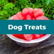 Homemade Dog Treats