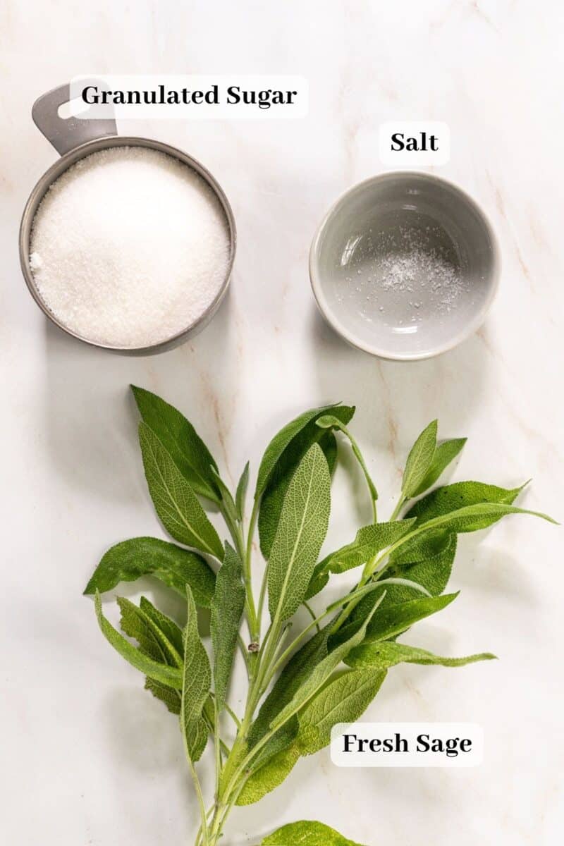 Easy Sage Simple Syrup Recipe Peel with Zeal