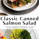 Canned salmon salad recipe.