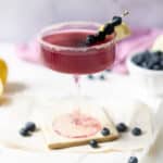 The image features a blueberry martini glass adorned with blueberries on fruit skewers and a lemon slice on the rim.⁣