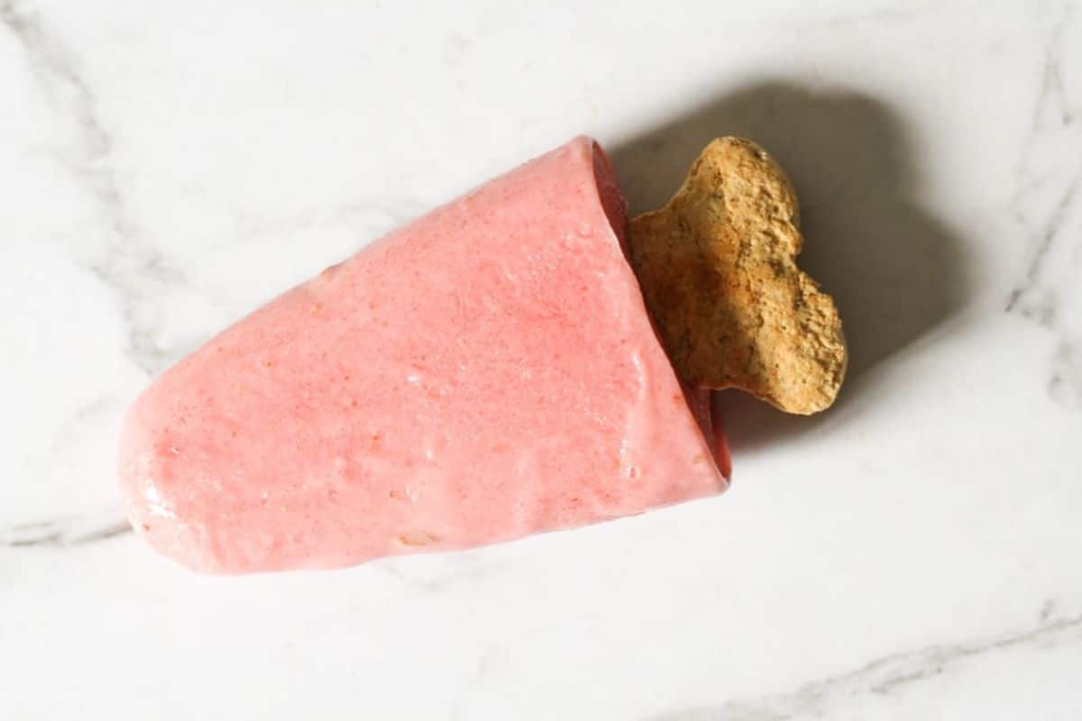 Berry Dog Popsicles resting in a countertop.