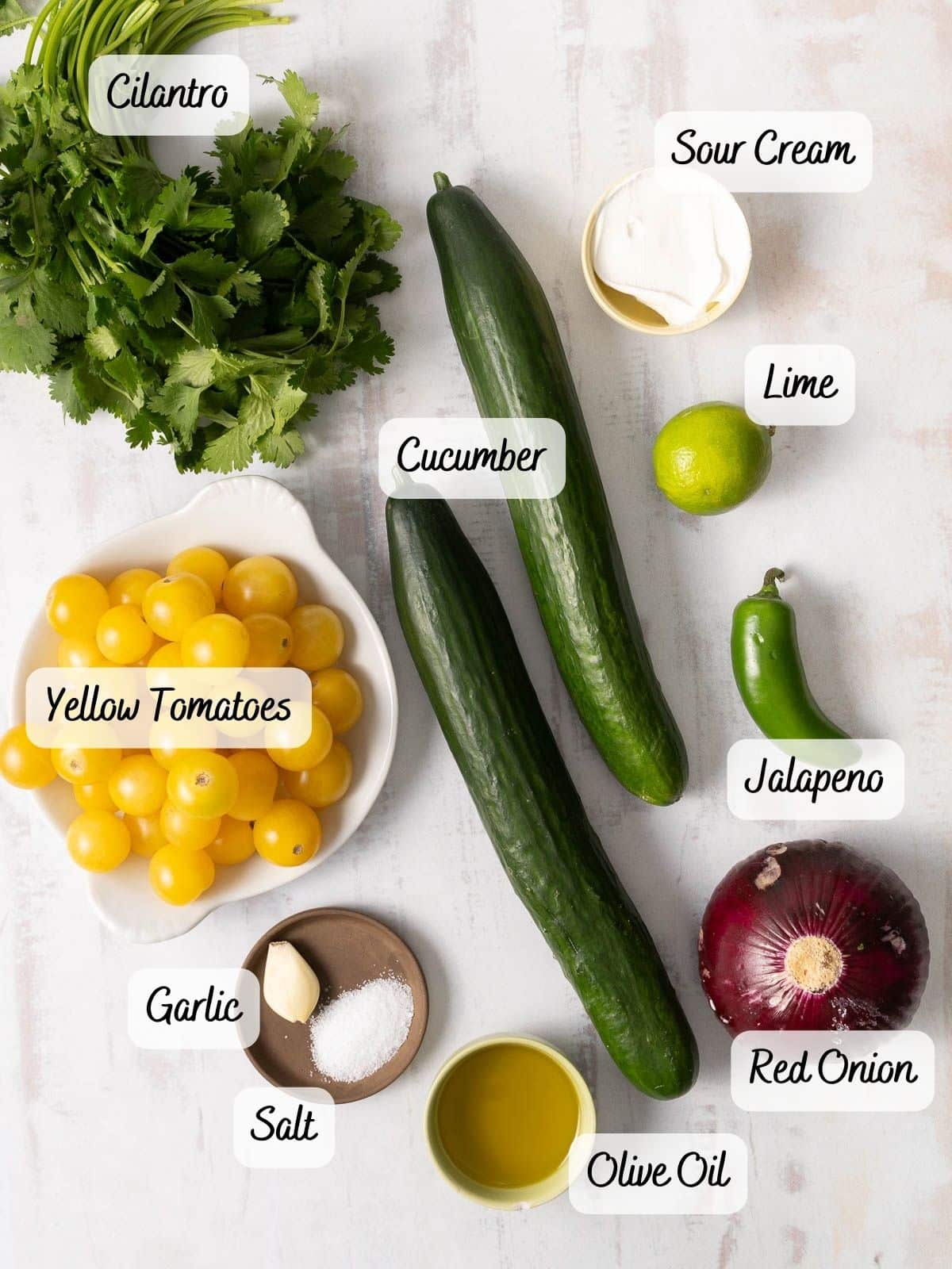 Gazpacho ingredients displayed on a countertop.