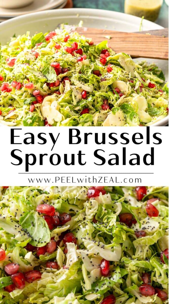 shaved brussels sprout salad with pomegranate in a white serving bowl.