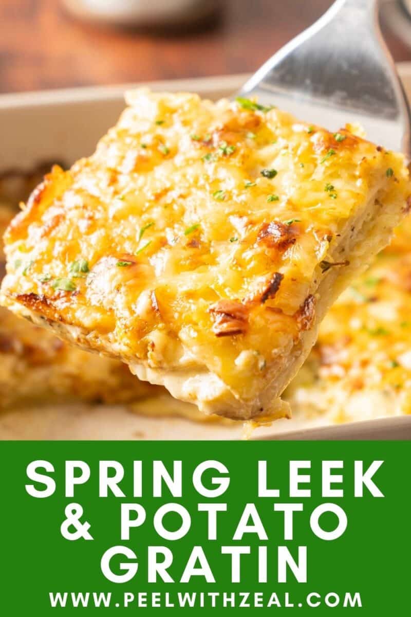 A close-up reveals a cheesy slice of leek potato gratin being lifted from a baking dish, showcasing the creamy blend of spring leeks and tender potatoes in every bite.