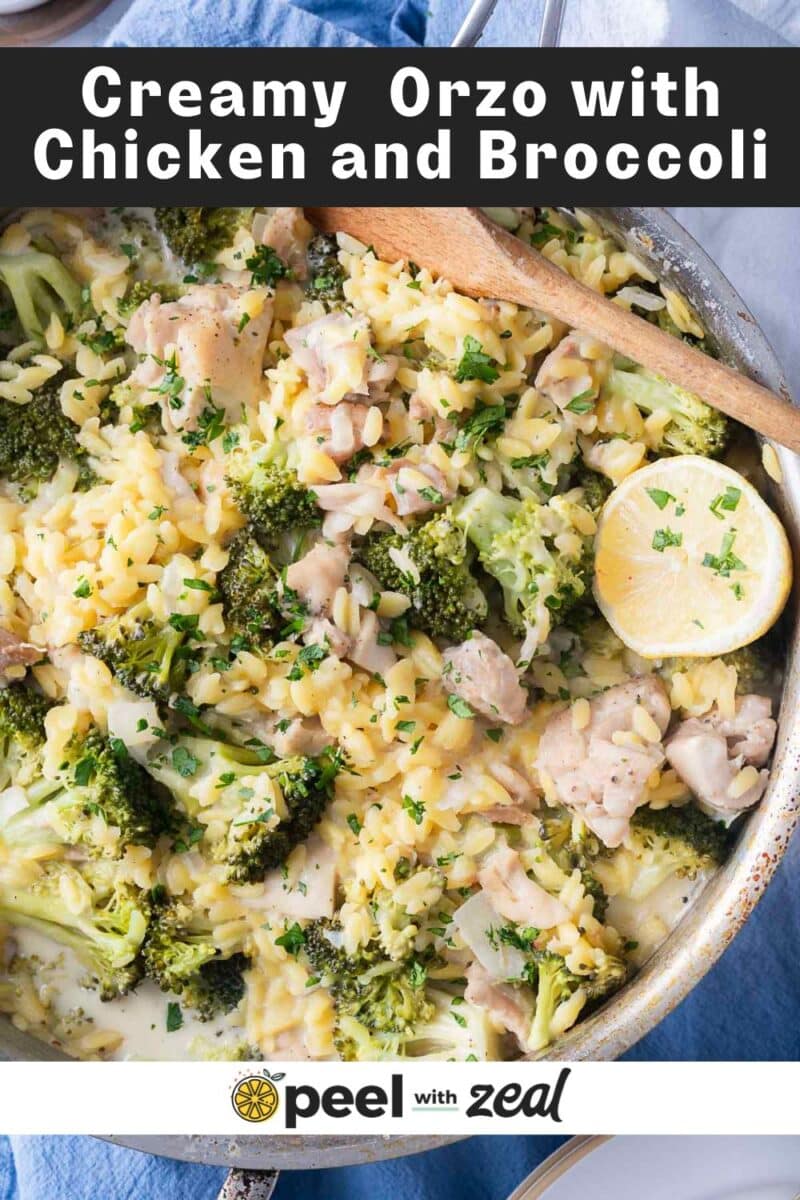 A skillet of creamy orzo with tender chicken, fresh broccoli, and a hint of Boursin cheese, all garnished with chopped herbs and lemon slices. A wooden spoon rests beside the dish. Text overlay reads: "One Pot Chicken Orzo Delight.