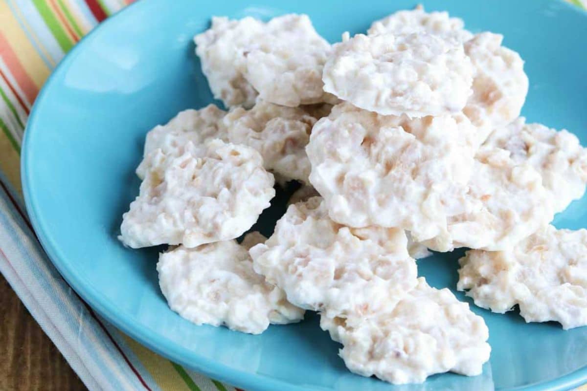 White no-bake cookies with a clustered, rough texture-perfect as homemade dog treats-are arranged on a blue plate, placed over a multicolored striped cloth.