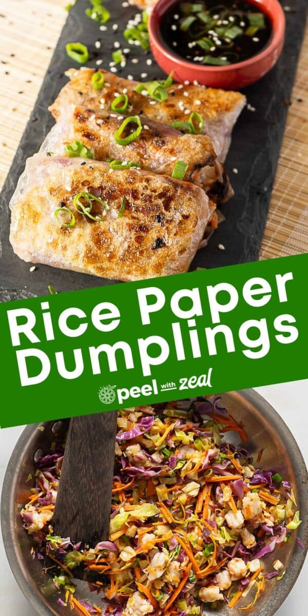 Three rice paper dumplings garnished with green onions and sesame seeds served with dipping sauce, atop a bowl of colorful chopped vegetable filling.