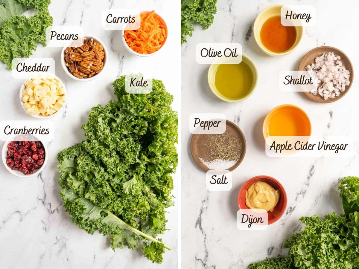 Ingredients for a kale salad and dressing are arranged on a white surface, each labeled with its name, including kale, pecans, carrots, cheddar, cranberries, oil, vinegar, and seasonings.
