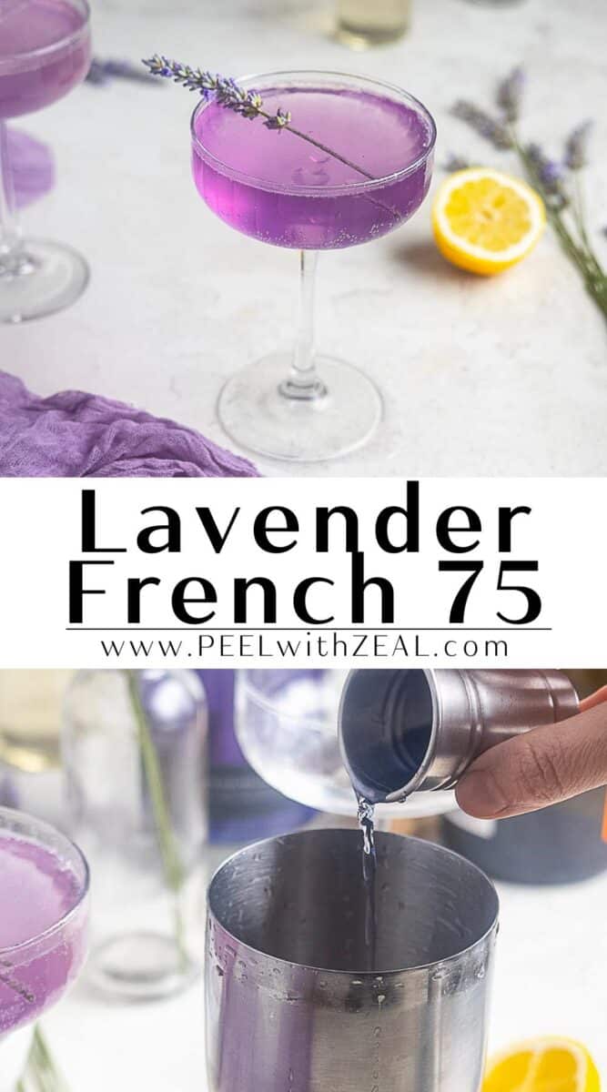 A lavender French 75 cocktail in a coupe glass, elegantly garnished with fresh lavender, with a lemon and more lavender in the background; below, a shaker is being filled for another aromatic lavender French 75.