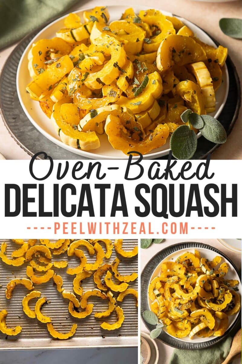 Sliced oven-baked delicata squash seasoned with herbs, displayed on a plate, with uncooked slices on a baking sheet.