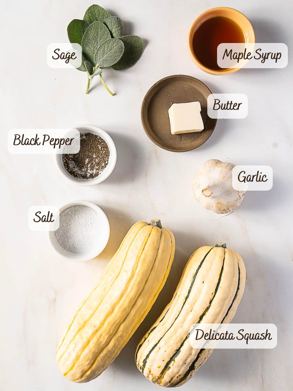 Top-down view of Roasted Delicata Squash ingredients: delicata squash, garlic, butter, maple syrup, sage leaves, salt, and black pepper arranged on a white surface with each item labeled.