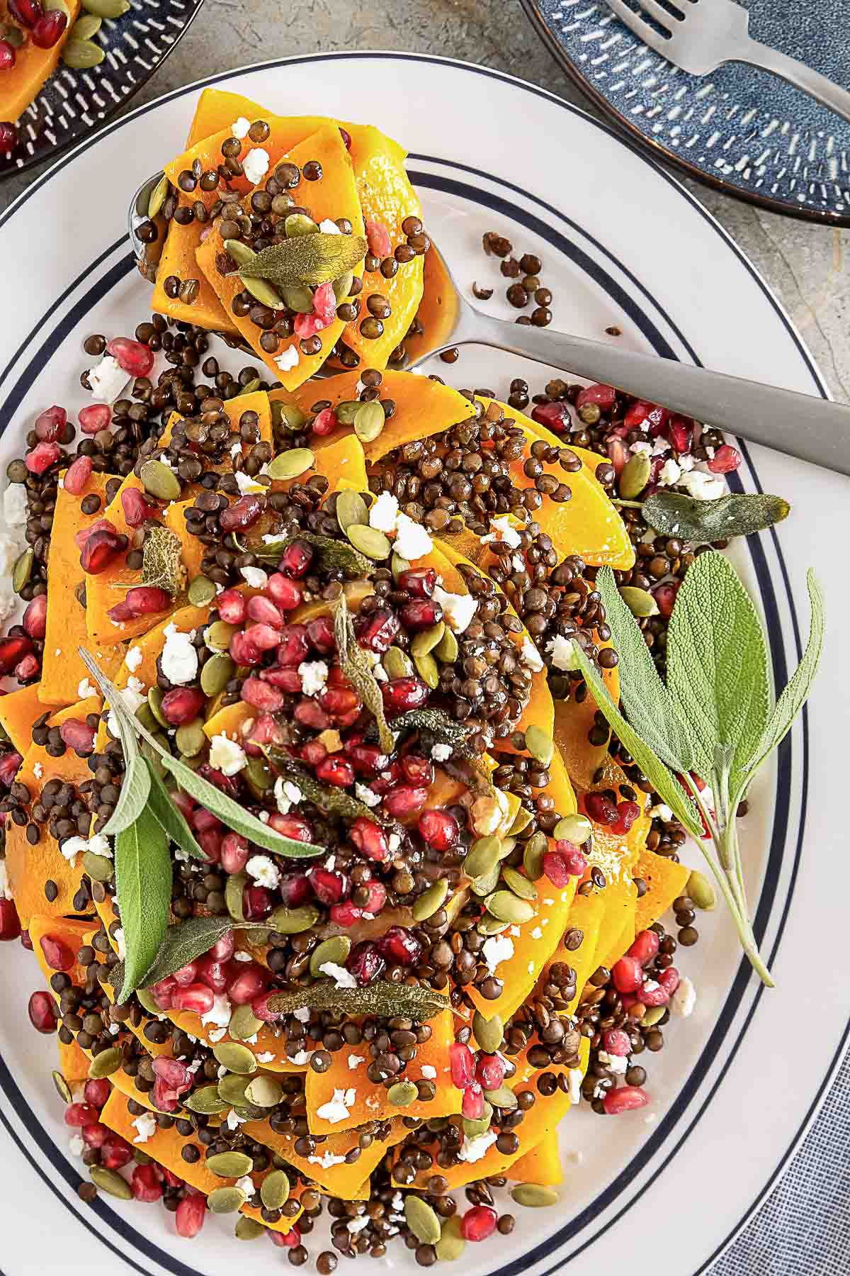 A plate of roasted butternut squash topped with black lentils, pomegranate seeds, feta cheese, pumpkin seeds, and fresh sage leaves, served with a fork.