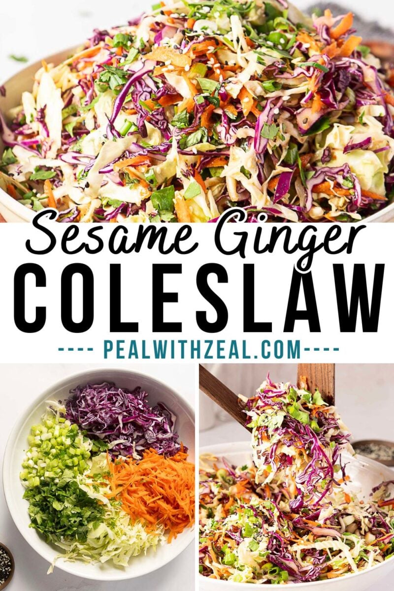 Sesame ginger coleslaw with shredded cabbage, carrots, green onions, and fresh herbs, shown mixed in a bowl and separated into ingredients in smaller bowls.