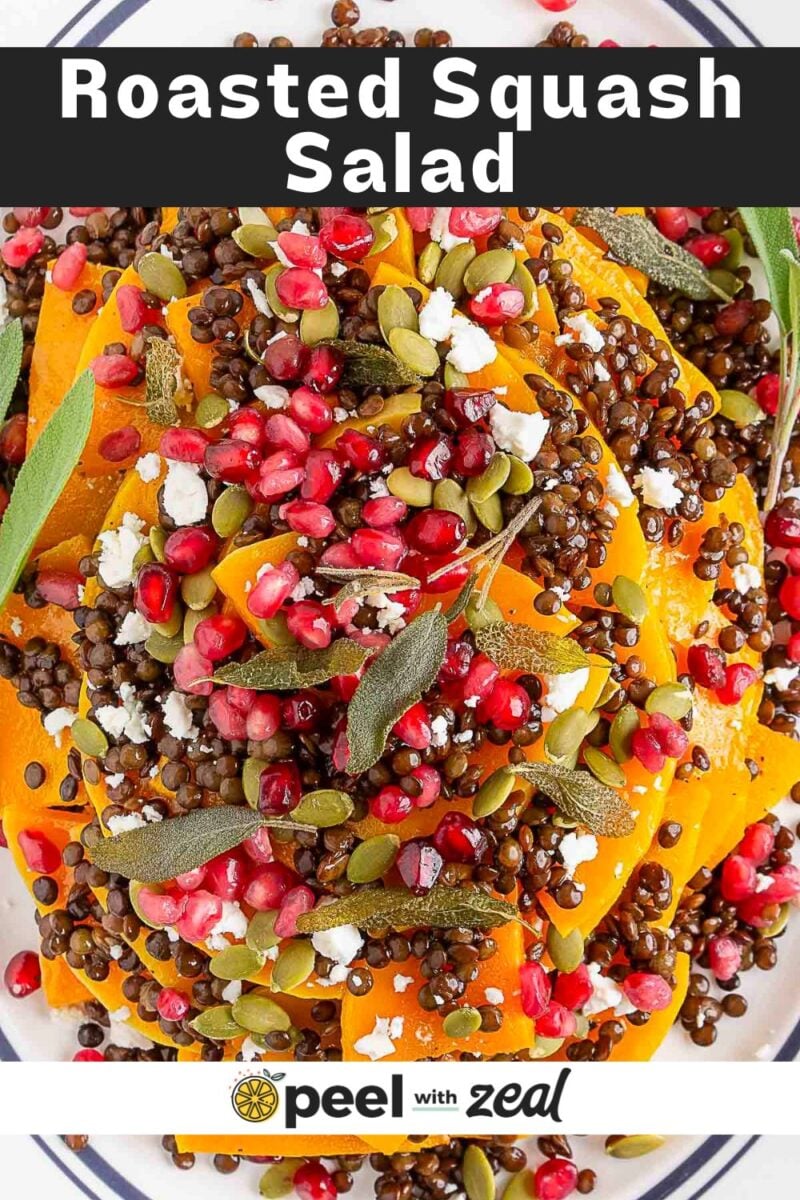 Sliced roasted butternut squash salad topped with pomegranate seeds, lentils, pumpkin seeds, fresh herbs, and crumbled cheese on a plate.