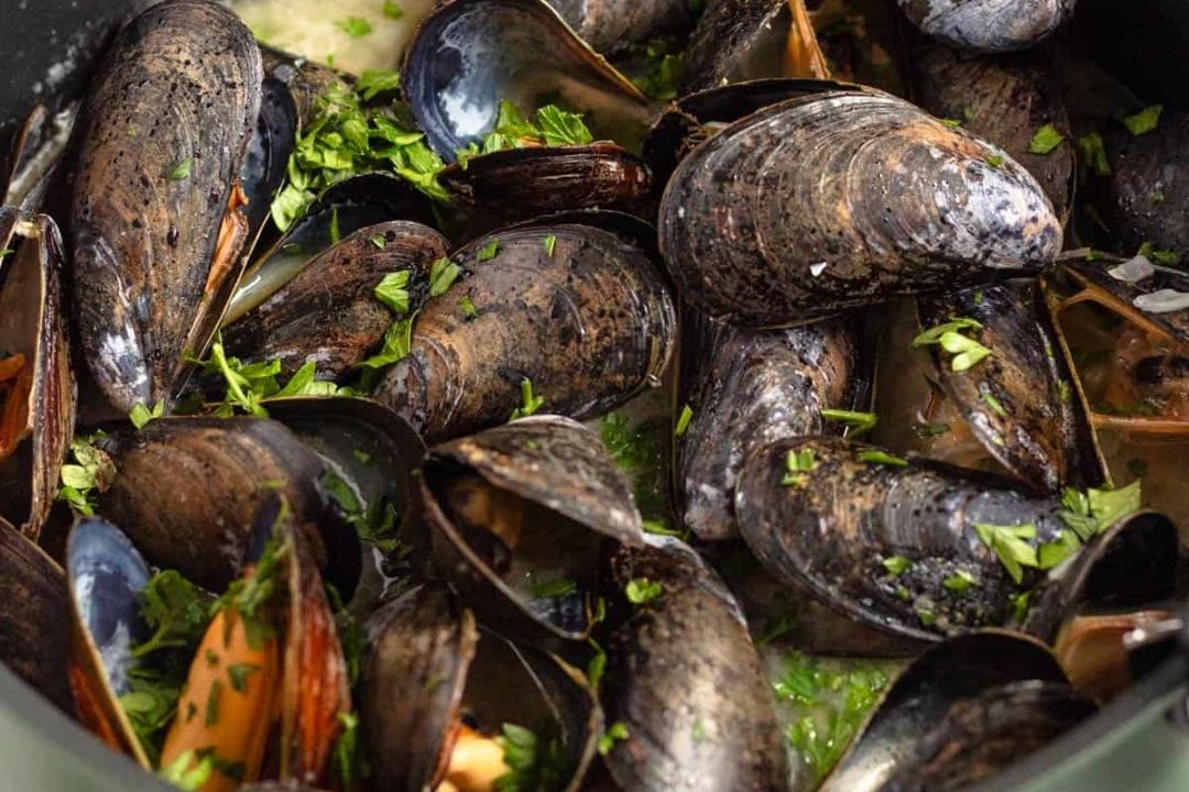 Cooked mussels in their shells are garnished with chopped parsley and served in a broth.