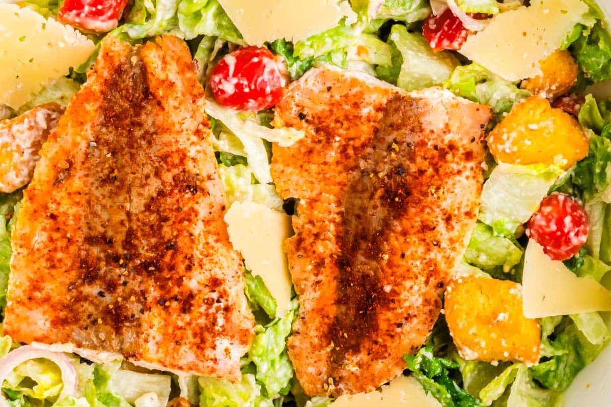Two seasoned, cooked fish fillets on a bed of romaine lettuce, grape tomatoes, orange segments, and shaved parmesan cheese.