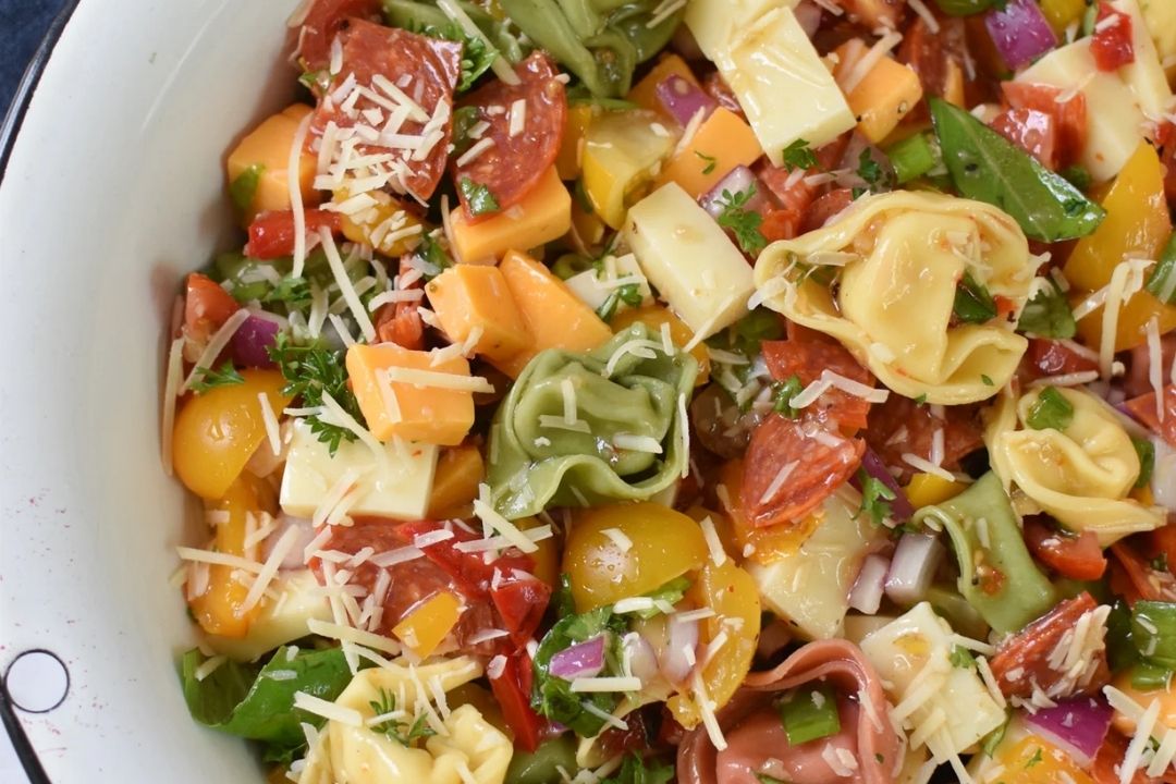 Mixed tortellini pasta salad with cheese cubes, cherry tomatoes, red onions, herbs, and shredded parmesan in a white bowl.