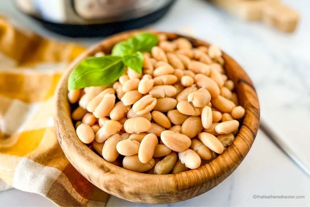 A wooden bowl filled with cooked white beans, garnished with fresh basil leaves, sits on a surface with a yellow and white cloth nearby.