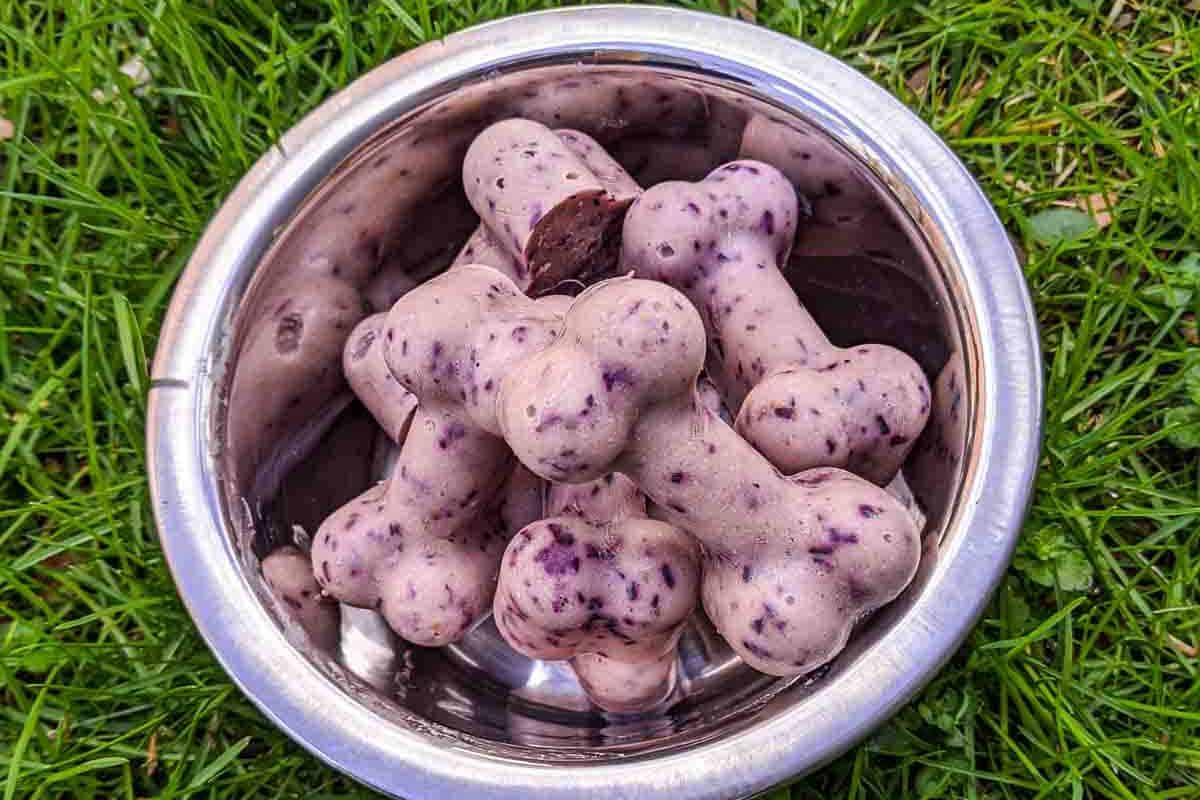 A stainless steel bowl filled with bone-shaped dog treats that appear to have blueberries mixed in, resting on green grass—perfect for pet owners searching for new and popular recipes to treat their furry friends.